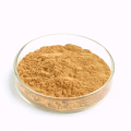 Factory supply high quality Natural Luo han guo extract / Monk fruit extract powder with Mogrosides 30%